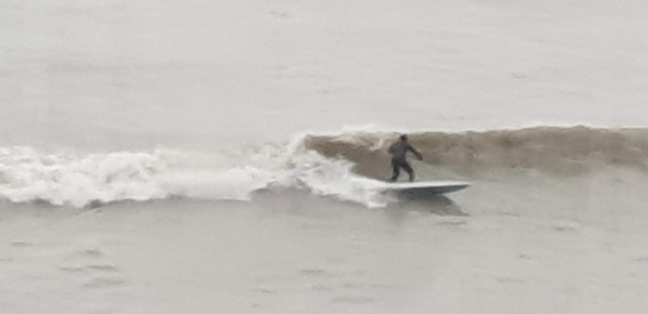 The Sup Shack Wellington Inn ニューキー エクステリア 写真